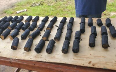 Combating Climate Change through the Promotion of Alternative Cooking Fuel such as Solar Cookers and Rice Straw Briquettes